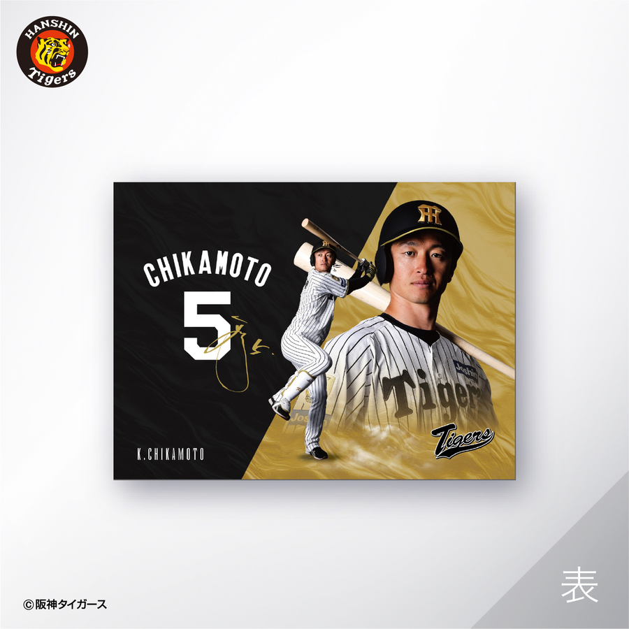��ӥåȥ��å�ξ�̥������ޥåȡ�#5����������
