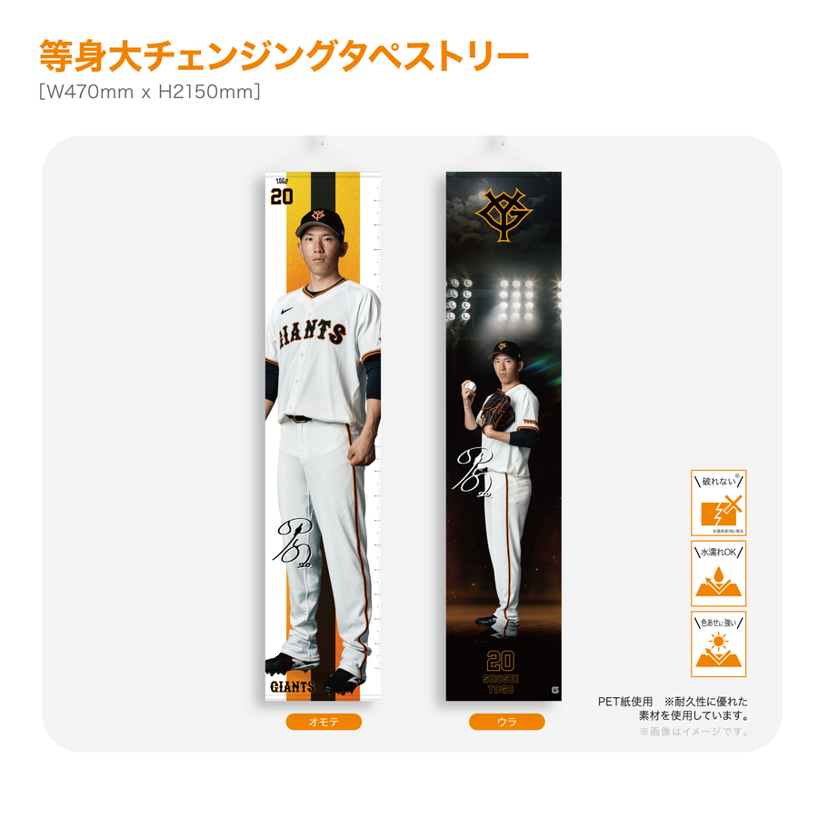 ڼ󥸥󥰥ڥȥ꡼#20Ͷ