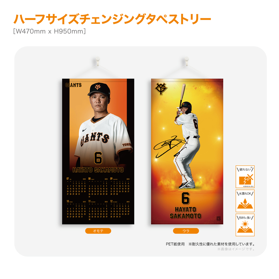 ڼۥϡե󥸥󥰥ڥȥ꡼#6 