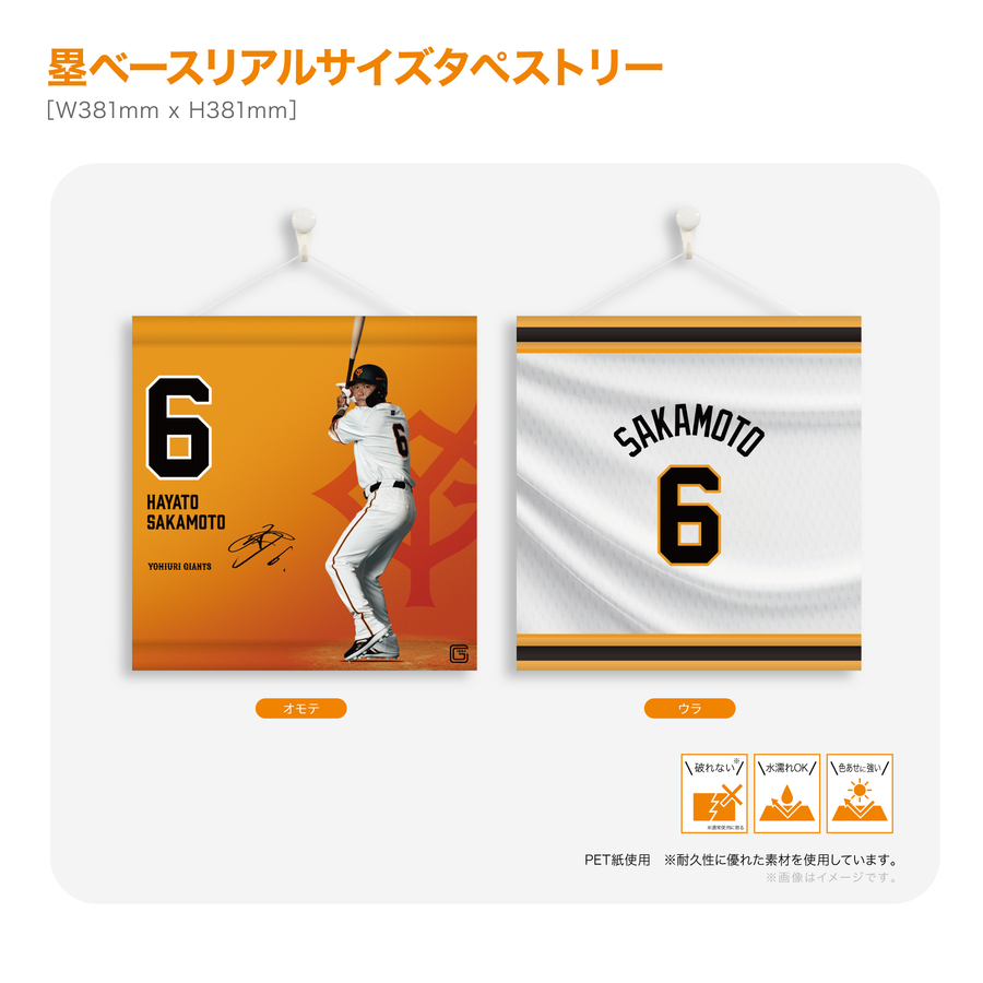 ڼݥ١ꥢ륵ڥȥ꡼#6 