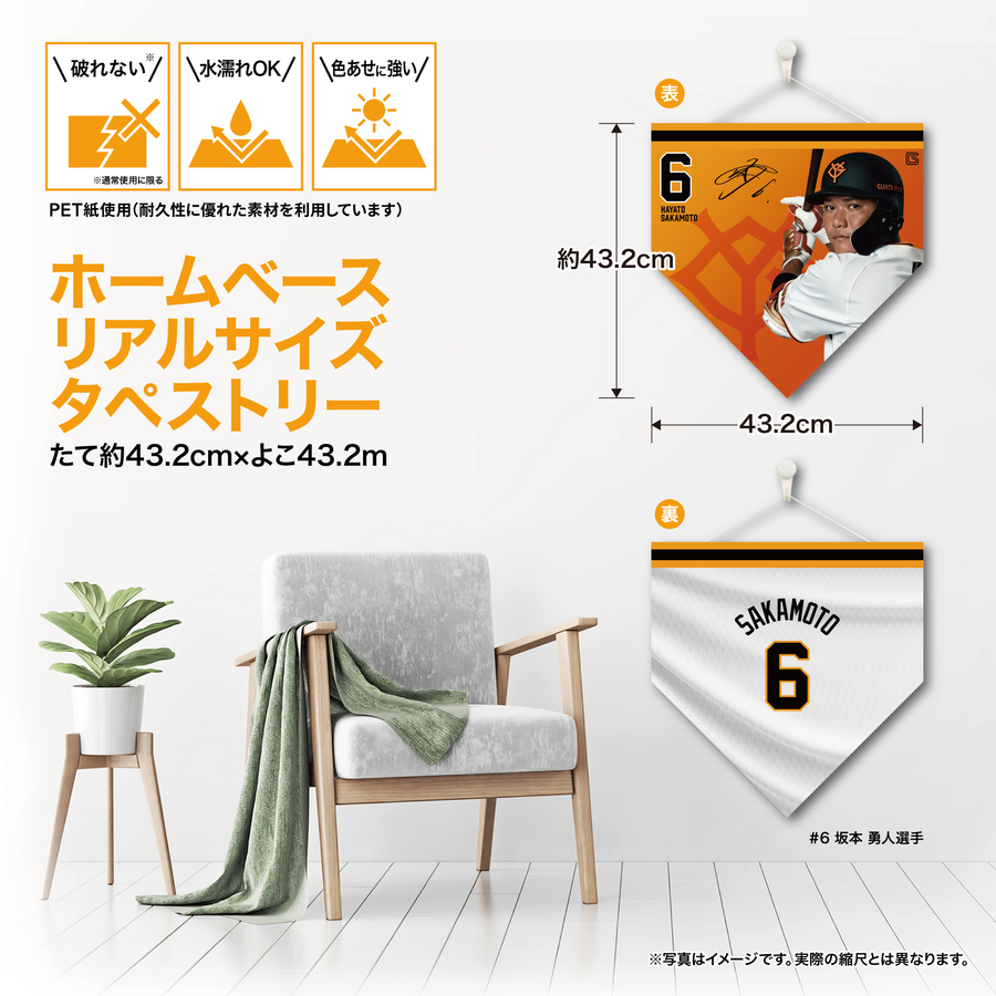 ڼۥۡ١ꥢ륵ڥȥ꡼#6