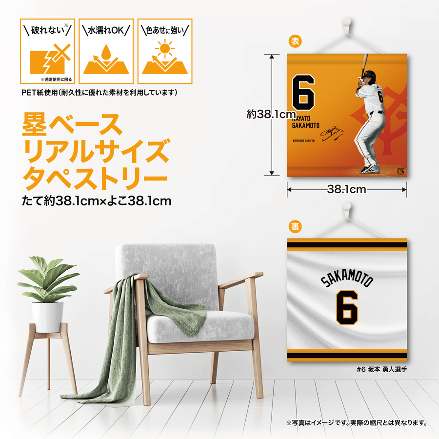 ڼݥ١ꥢ륵ڥȥ꡼#6 