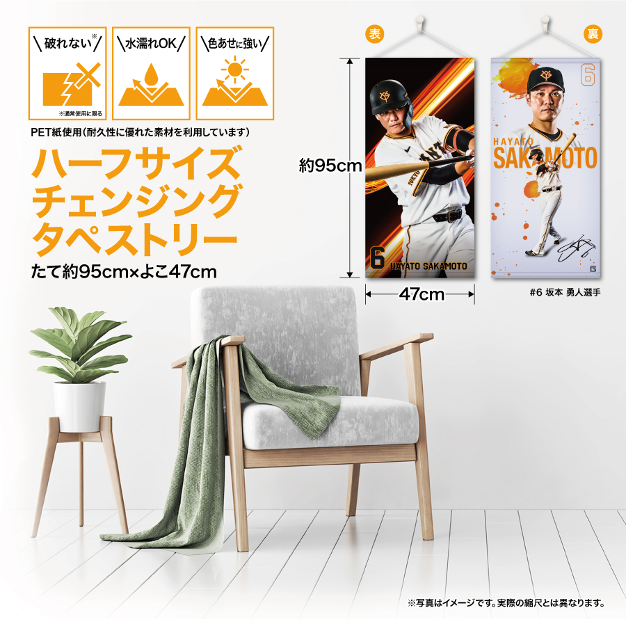 �ϡ��ե����������󥸥󥰥��ڥ��ȥ꡼��#6����������