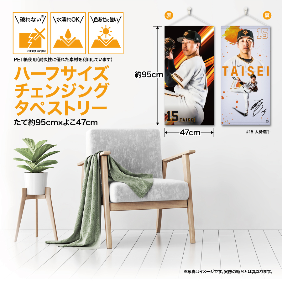 �ϡ��ե����������󥸥󥰥��ڥ��ȥ꡼��#15����������