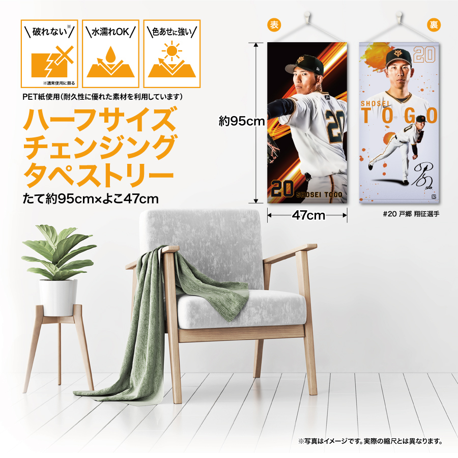 �ϡ��ե����������󥸥󥰥��ڥ��ȥ꡼��#20���Ͷ�����